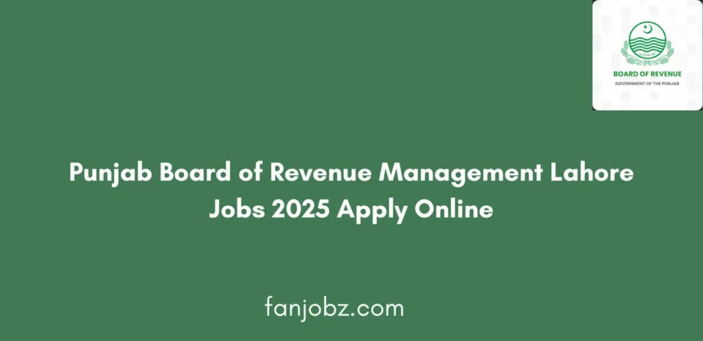 Punjab Board of Revenue Management Lahore Jobs 2025 Apply Online