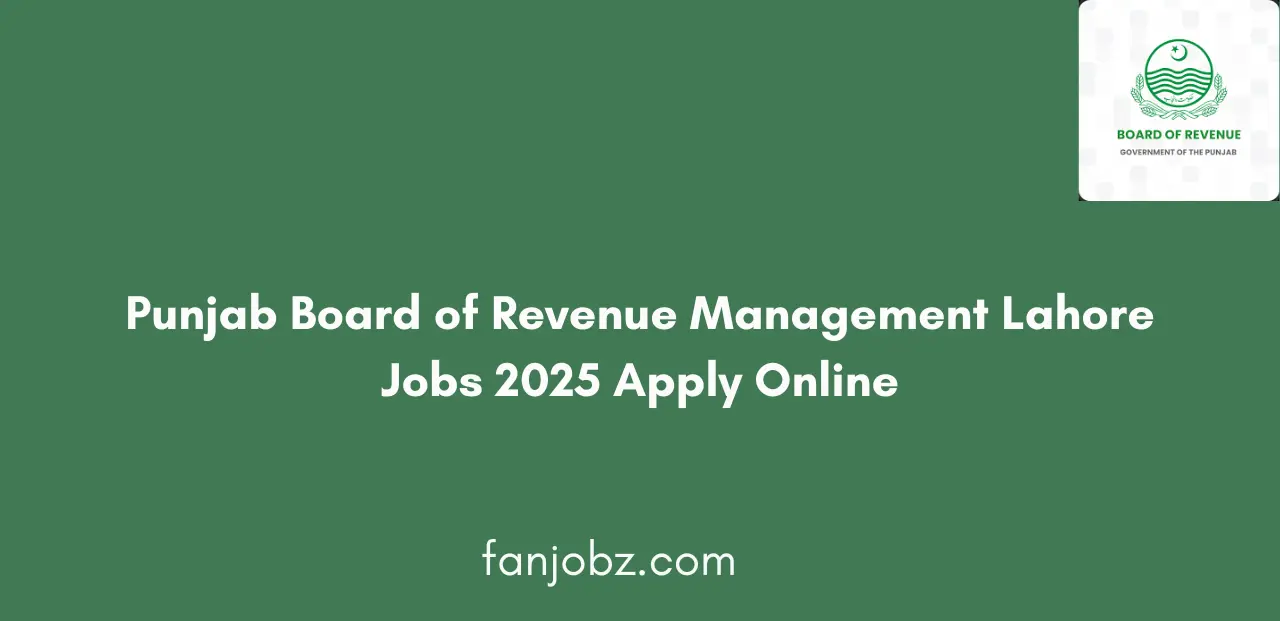 Punjab Board of Revenue Management Lahore Jobs 2025 Apply Online