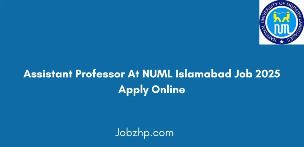 Assistant Professor At NUML Islamabad Job 2025 Apply Online